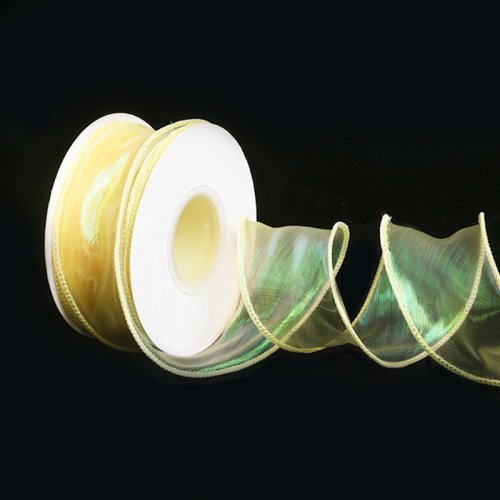 올리브파티 오로라 홀로그램 오간디 리본 40mm 9M리본, 2개, 옐로우
