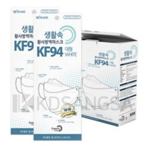 케어플 생활속 황사방역마스크 대형 KF94
